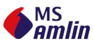 MS Amlin